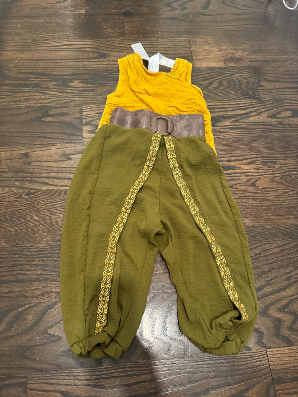 Disney Raya costume